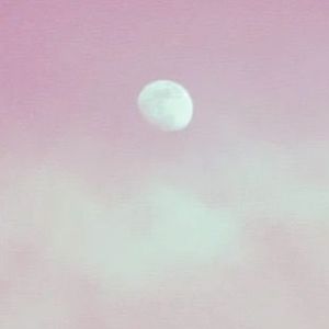 Meet your Posher, Cody